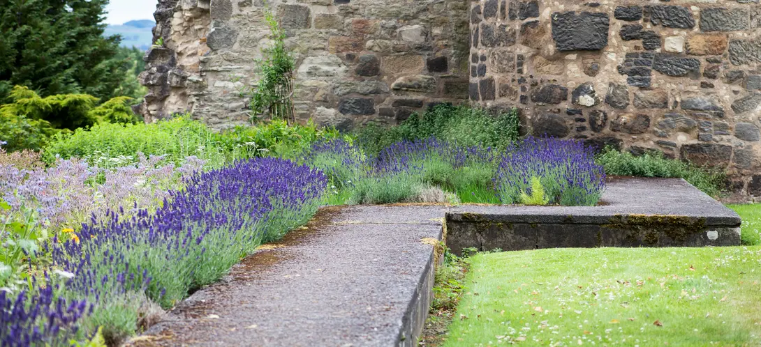 mediterraner-garten-natur-lavendel-gartengestaltung